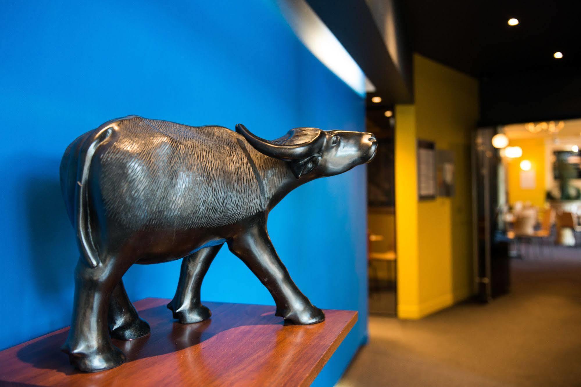 Black Buffalo Hobart Eksteriør billede